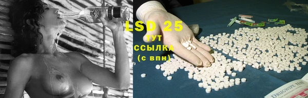 бошки Ельня