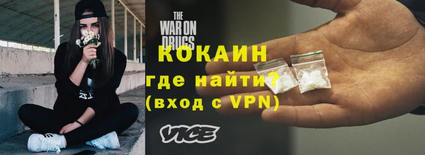 бошки Ельня
