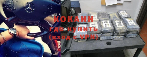 бошки Ельня
