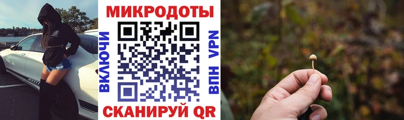 мориарти состав  Свирск  Галлюциногенные грибы GOLDEN TEACHER 